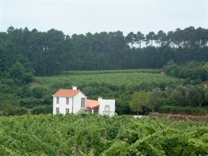 Weekendsmagning: Nye vine fra Roques og Maias - Fredag og lørdag 3. og 4. juni